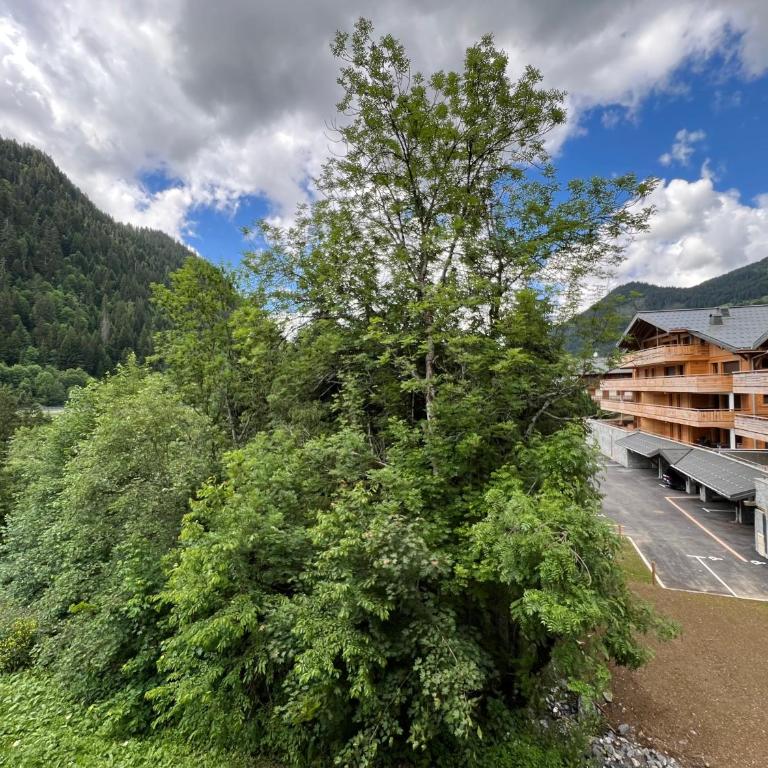 Les 4 Elements - Apt D102 - BO Immobilier- remises sur les forfaits de skis Châtel ou Portes du soleil - Four-Bedroom Apartment - 15