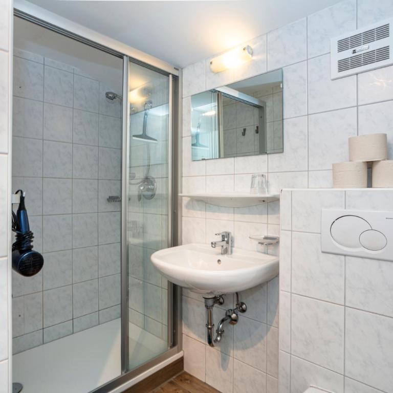 Appartements am Edthof - Camera Matrimoniale Basic - 5