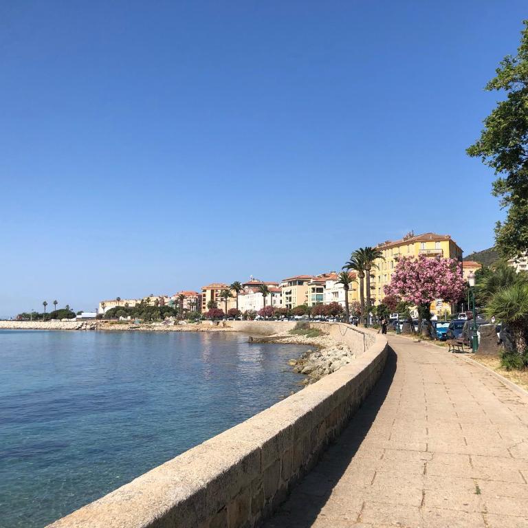 Ajaccio : appartement centre historique - Apartamento de 1 dormitorio - 4
