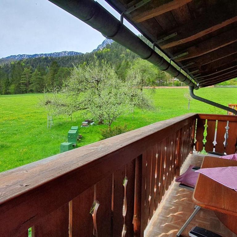 Bognerlehen Katharina Kurz - Apartment mit Blick auf die Berge - 1