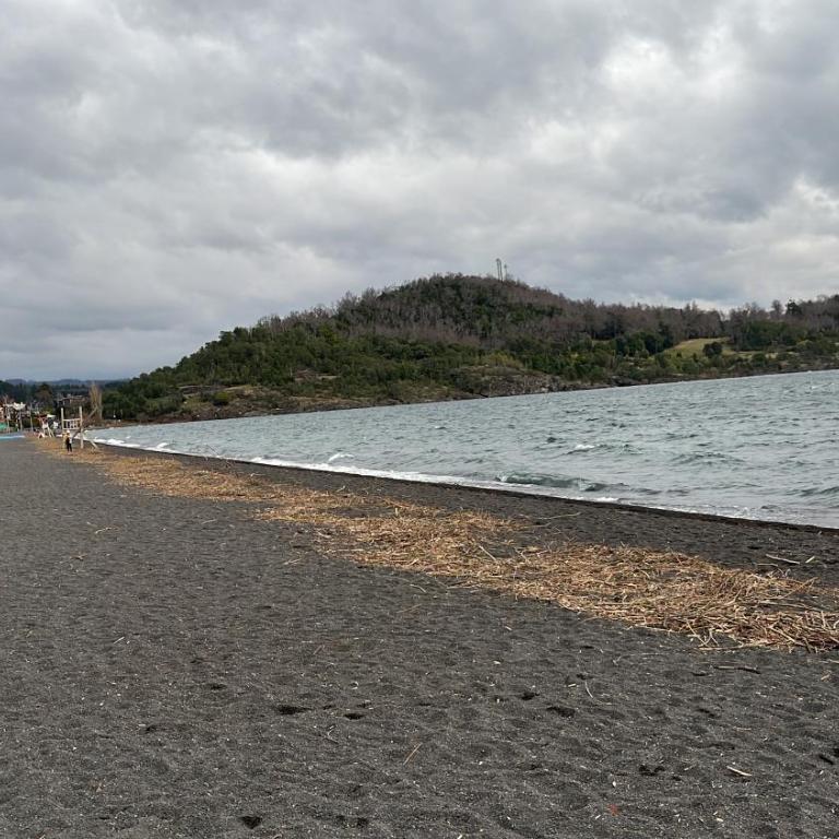 Playa Pucon - Apartamento con vistas al lago - 20