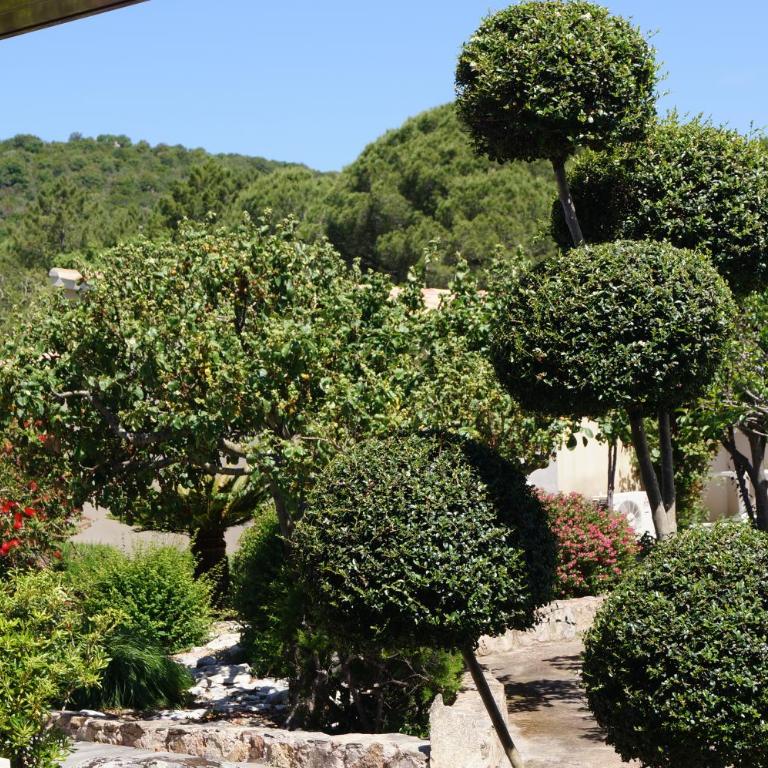 Les Jardins De Santa Giulia - Charmante chambre dhte - Chambre Simple - 14
