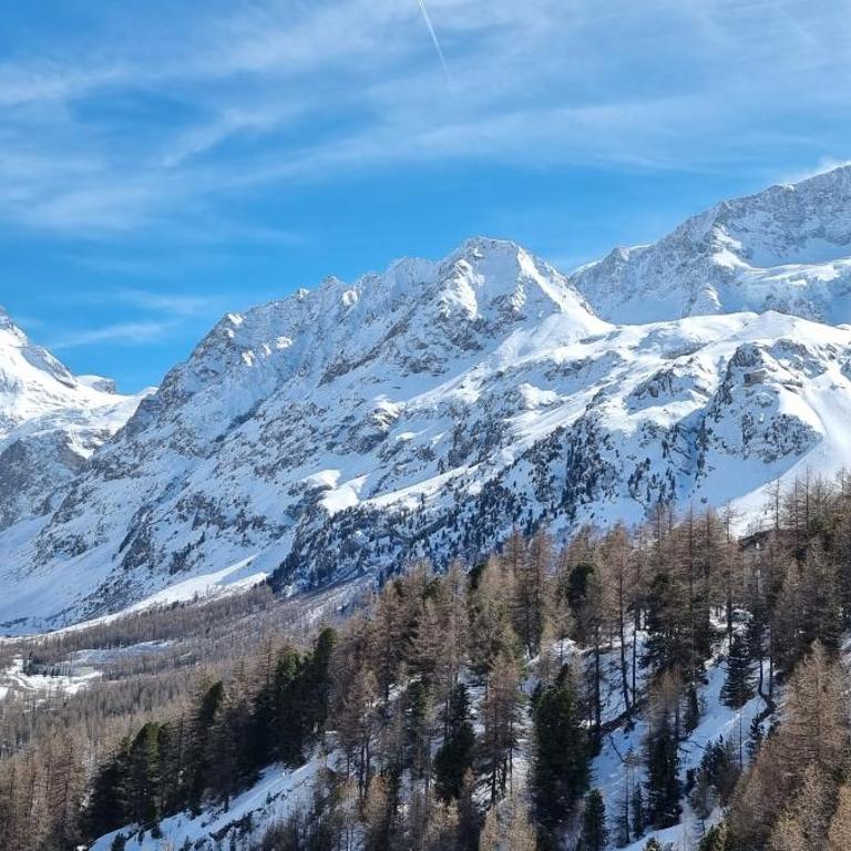 Le Panorama - Appartement 54 à Arolla face aux montagnes à 150m des pistes - Apartment mit 2 Schlafzimmern - 6
