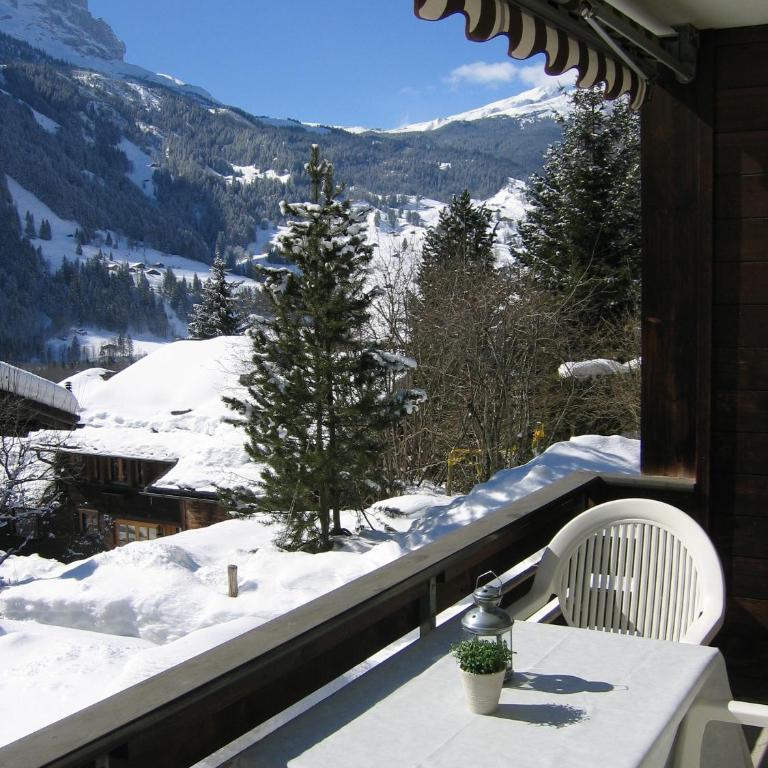 Casa Almis, Grindelwald - Apartment mit Blick auf die Berge - 2