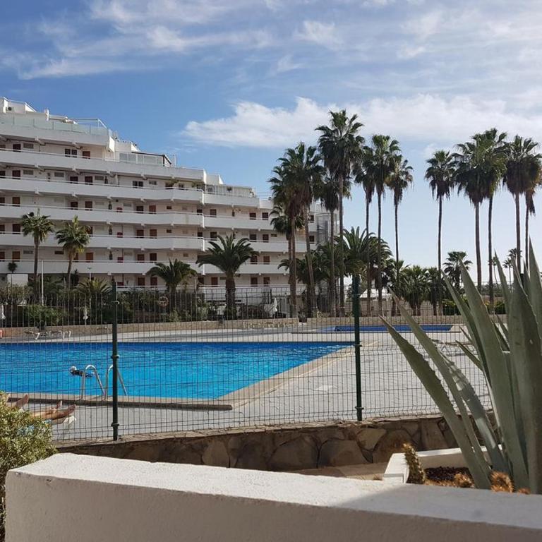 Viña del mar - Costa Adeje - Appartement 1 Chambre - 5