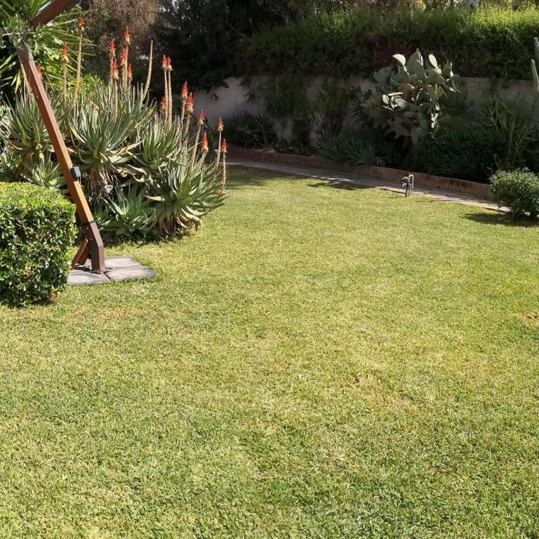 Cozy Suite&Lodge Mondello beach - Appartamento con Vista Giardino - 6
