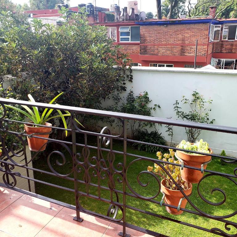 Singular Coyoacán Pepper My Love! - Suite with Balcony - 2