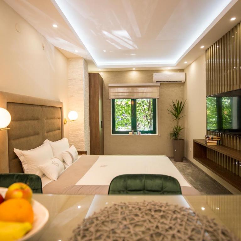 VS Exclusive Luxury Wellness & Spa Apartmani - Vrnjačka Banja - Studio sa Bračnim Krevetom (King-size) - 3