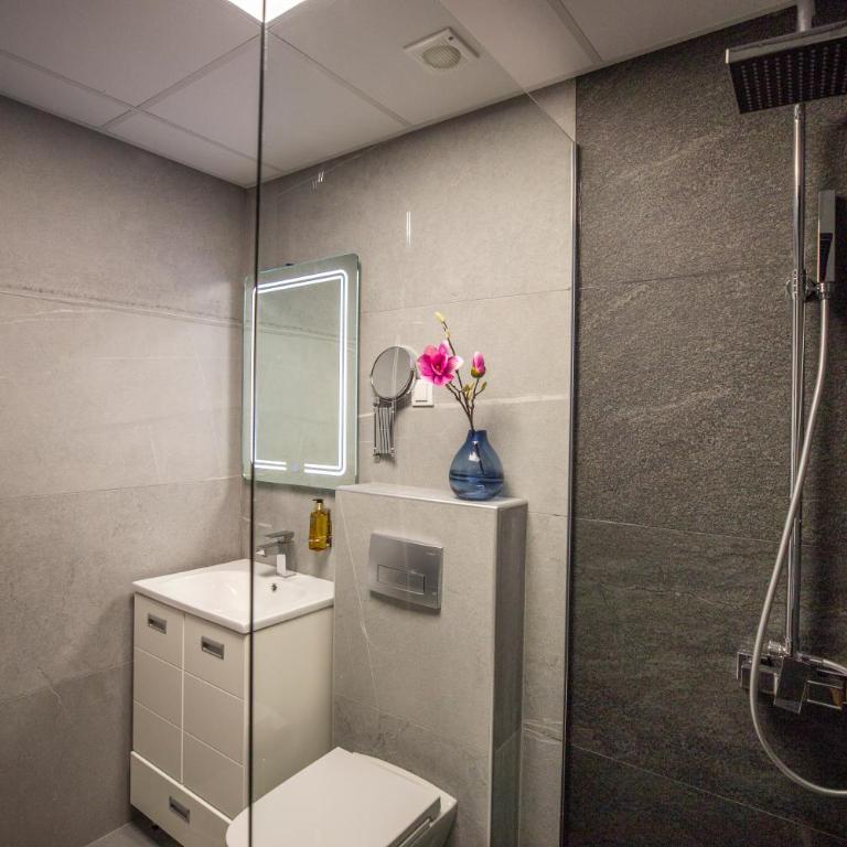 VS Exclusive Luxury Wellness & Spa Apartmani - Vrnjačka Banja - Deluks Studio sa Bračnim Krevetom (King-size) - 8