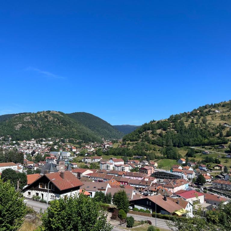 Magnifique appartement classé 4 étoiles avec Sauna et terrasse dans chalet - Appartement avec Vue sur la Montagne - 5