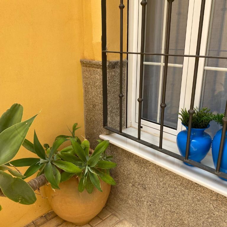 Apartamento Jema El Bajondillo - Apartamento de 1 dormitorio - 77