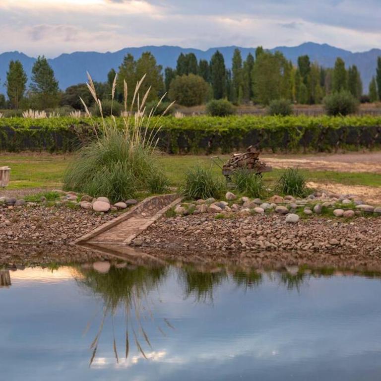 Bodega DURIGUTTI FAMILY WINEMAKERS - Casa de 2 dormitorios - 29