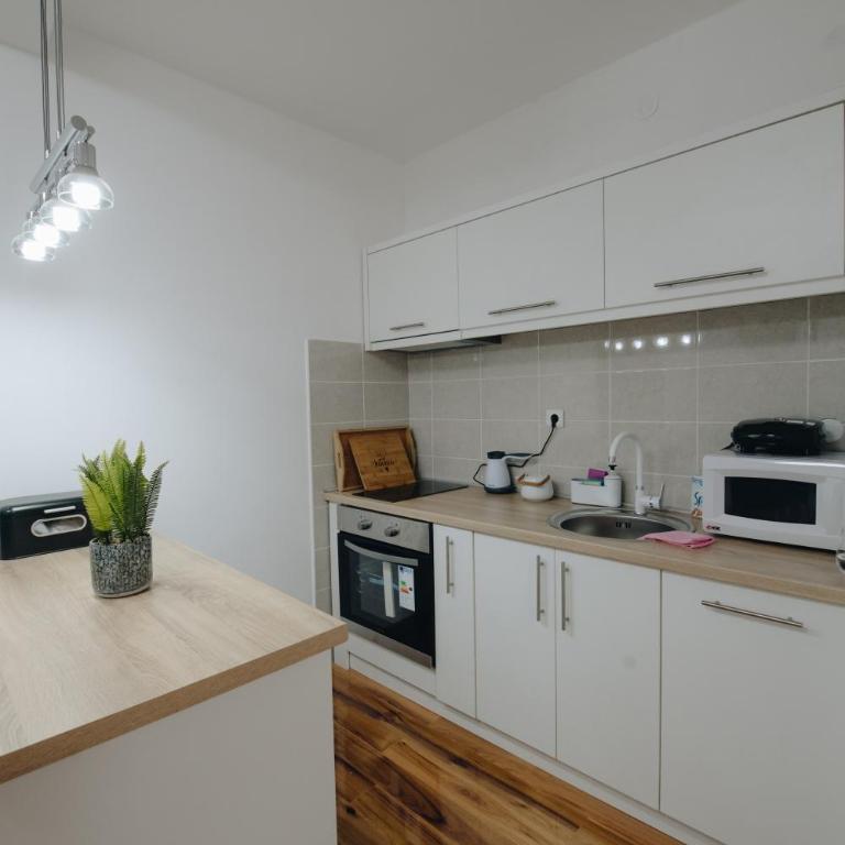 MB Hedonic Apartman - Apartman sa 1 Spavaćom Sobom - 15