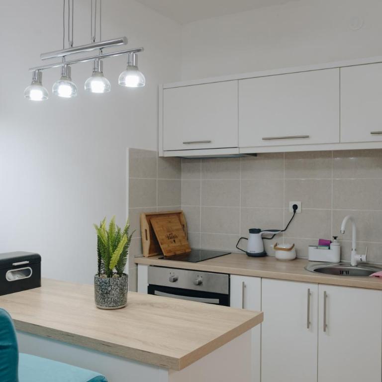 MB Hedonic Apartman - Apartman sa 1 Spavaćom Sobom - 13