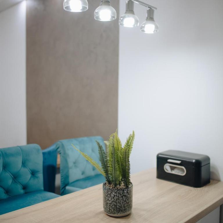 MB Hedonic Apartman - Apartman sa 1 Spavaćom Sobom - 12