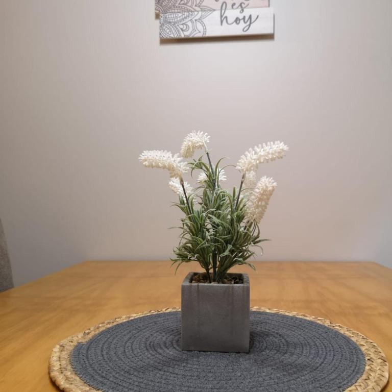 Dpto Mendoza Centro - Apartamento de 2 dormitorios - 16