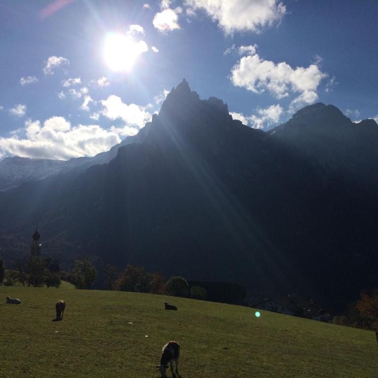 Appartamento Alpe di Siusi - Monolocale - 53