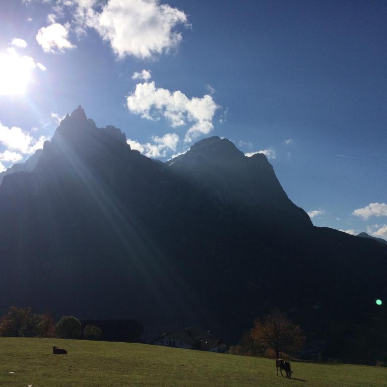 Appartamento Alpe di Siusi - Monolocale - 44
