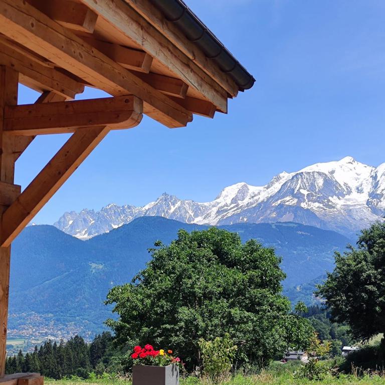 Chalet récent vue panoramique sur le MONT-BLANC - Chalet 3 Chambres - 4
