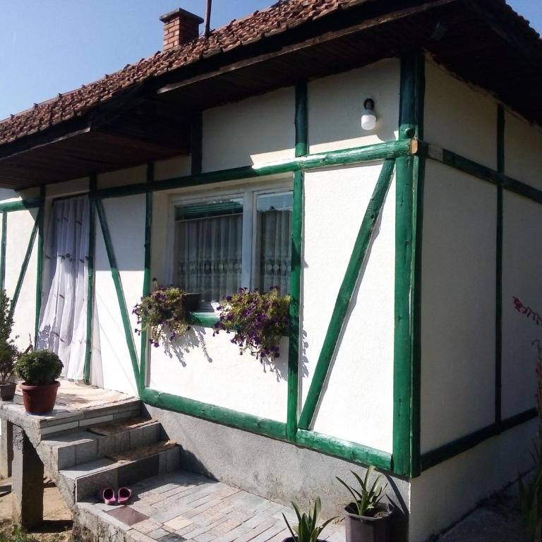 Etno selo Visoko Apartmani - Apartman - Prizemlje - 6