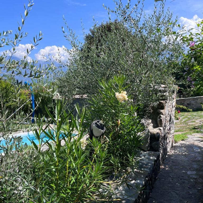 Casa Unica- da Bruno - Premium Apartment mit 3 Schlafzimmern - 23