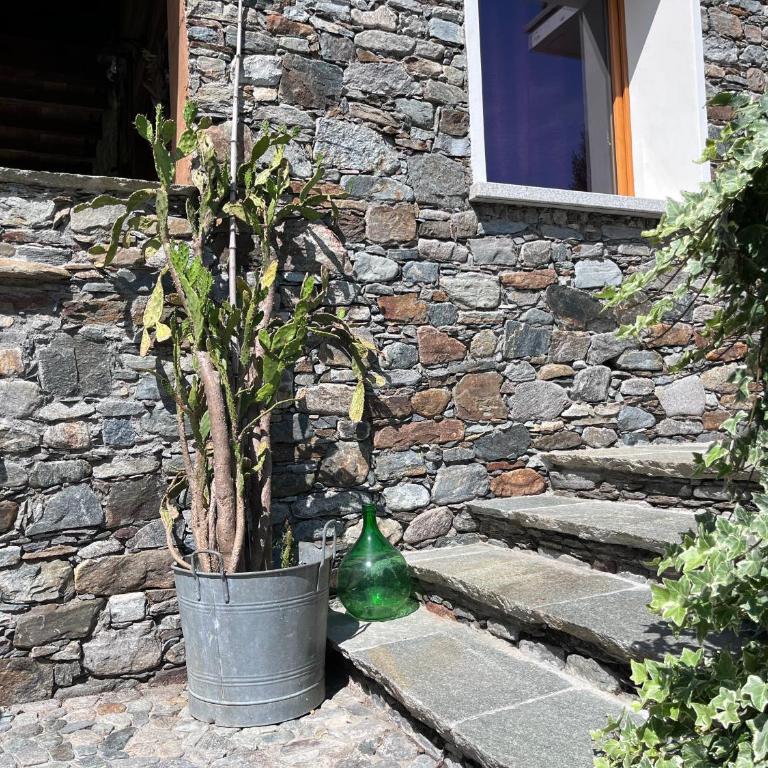 Casa Unica- da Bruno - Apartment mit Poolblick - 27