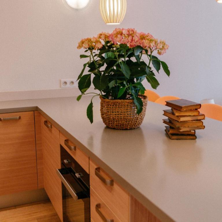 Résidence Châteauneuf - Appartement Supérieur 1 Chambre avec Terrasse - 6
