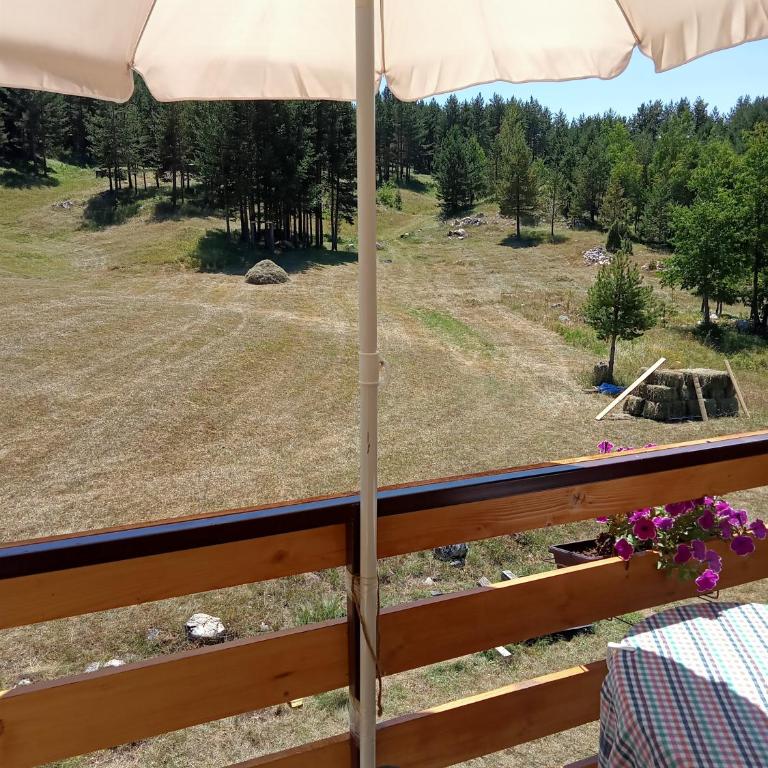 Vila Danida - Double Room with Terrace - 7