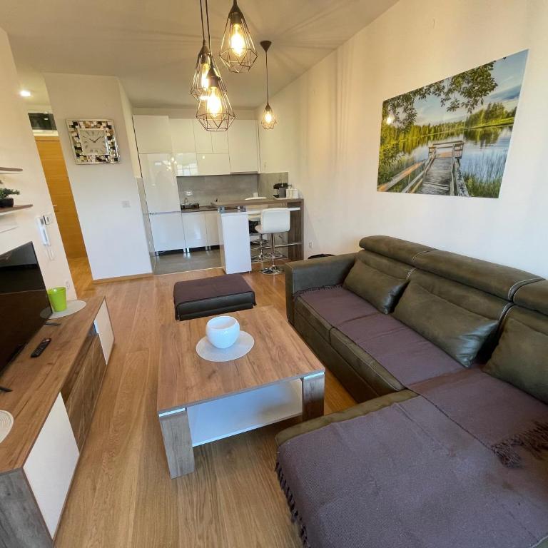 Fantastic centar Novi Sad - One-Bedroom Apartment - 1