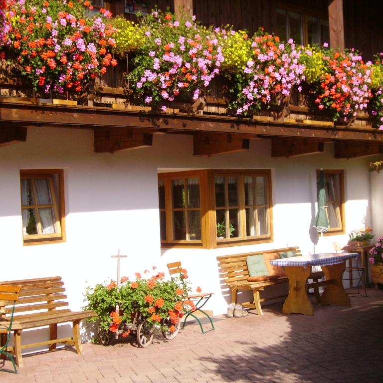 Ferienwohnungen Vogelrast - Apartment - Erdgeschoss - 8
