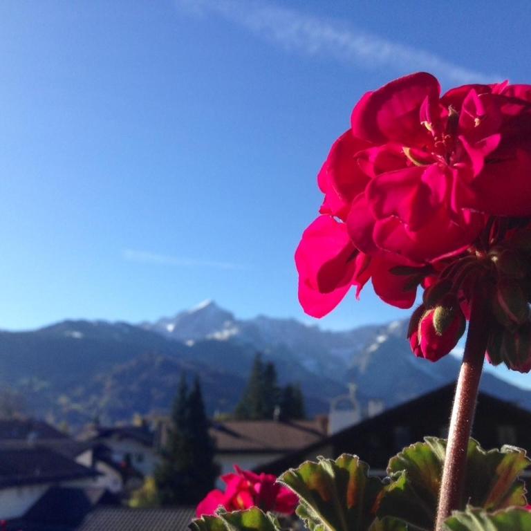 Ferienwohnung Gruß aus Partenkirchen - Apartment mit Blick auf die Berge - 10