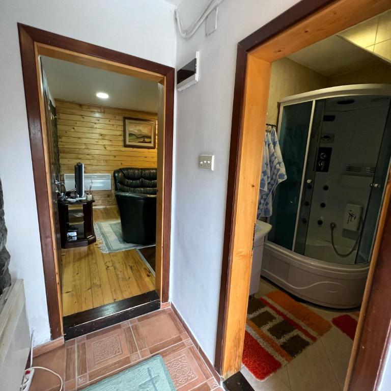Apartmani Vila Vjerra - One-Bedroom Apartment - 2