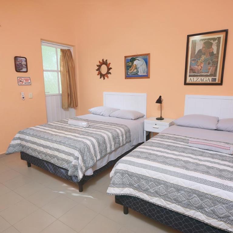 Casa Saab - Twin Room with Garden View - 4