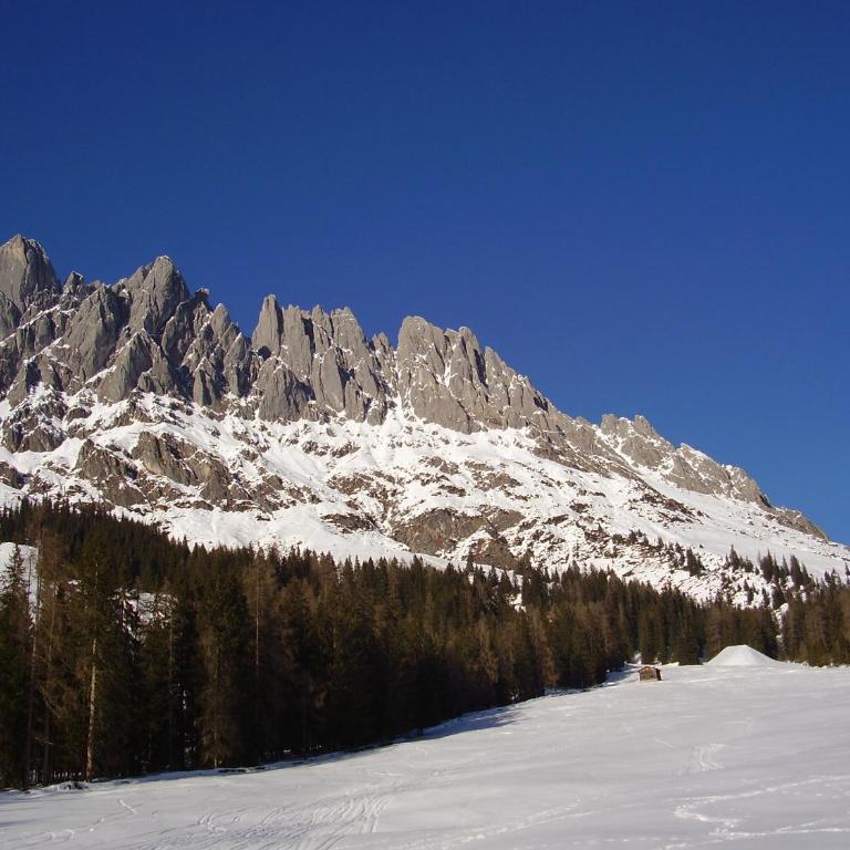 Appartementhaus Hochkönig 1 - Alpenrose - Apartment mit Balkon - 29