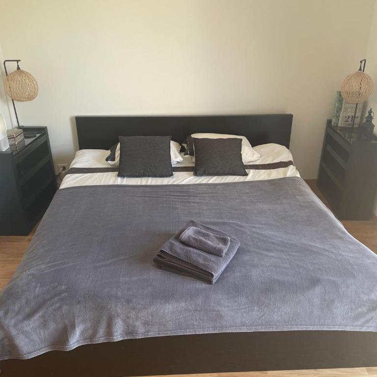 Private Bedroom and Bathroom in shared appartment - Chambre Lit Queen-Size Deluxe - 4