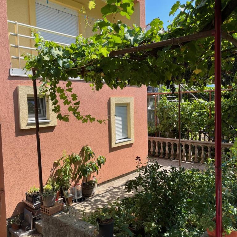 Gorica hill apartment - One-Bedroom Apartment - 1