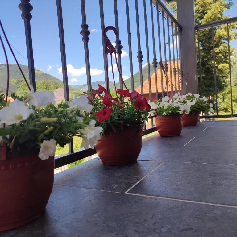 Cozy Home Kolasin - Apartman sa 1 Spavaćom Sobom - 2