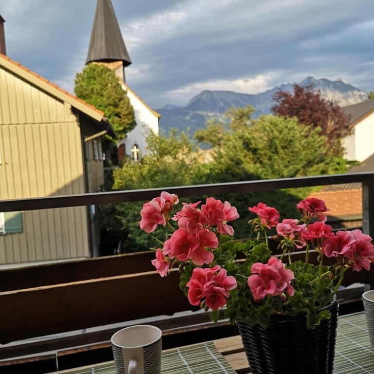 Ferienwohnung Sonnenstrahl - Appartamento - 16