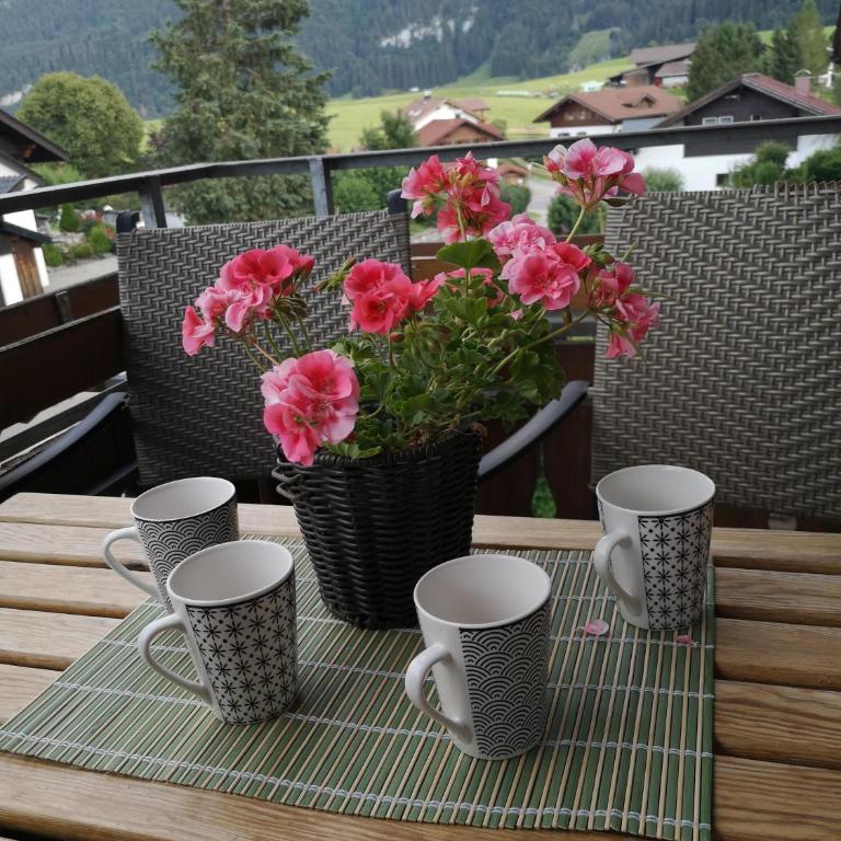 Ferienwohnung Sonnenstrahl - Appartamento - 17
