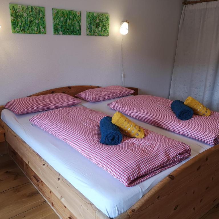 Ferienwohnung Sonnenstrahl - Appartamento - 25