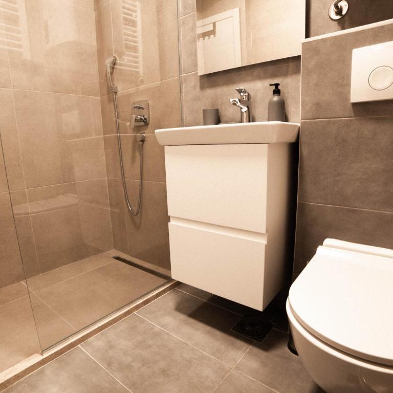 Apartments Suncani Vrhovi Kopaonik - Penthouse Apartment - 6