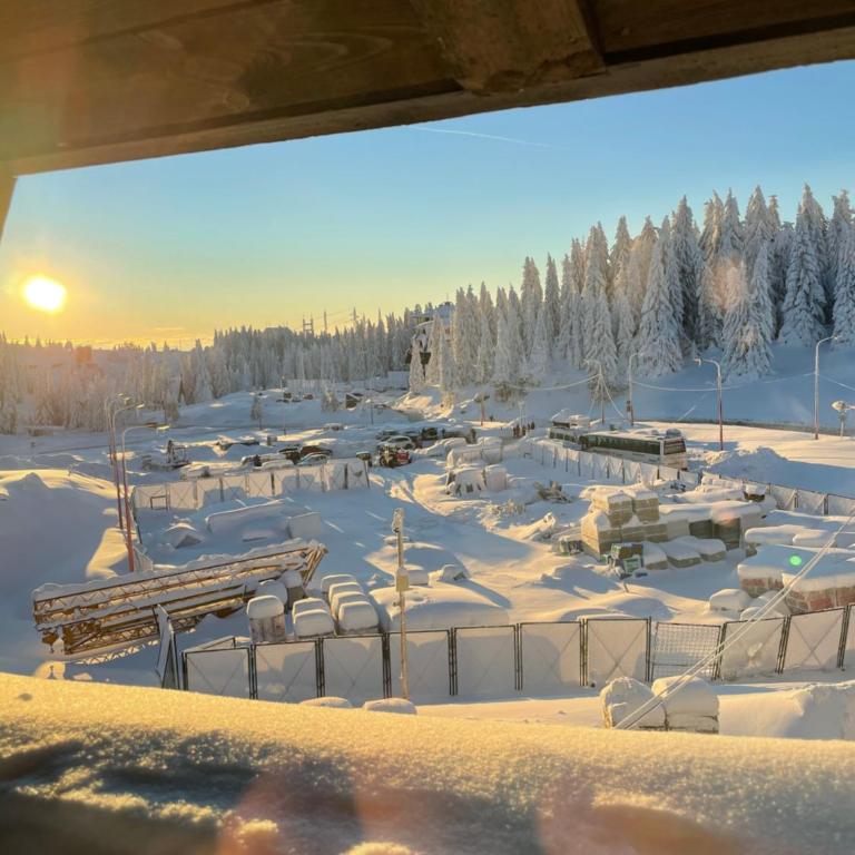 Apartments Suncani Vrhovi Kopaonik - Penthouse Apartment - 1