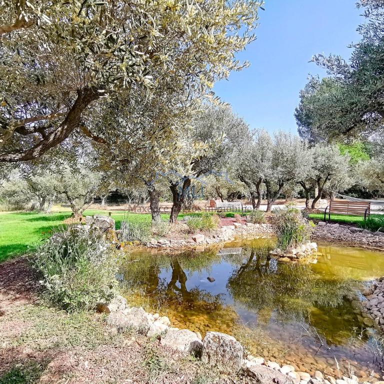 Mas Le Cad Saint-Rémy de Provence 8 personnes - Villa - 18