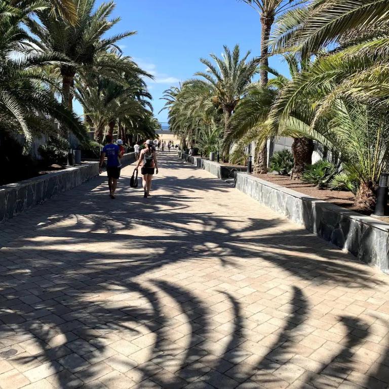 Playa del Ingles Vitamine D garantie - One-Bedroom Apartment - 16
