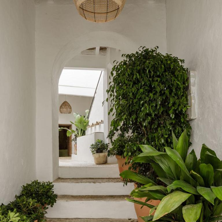 Casablanca Vejer Baño Termal - Estudio - 10