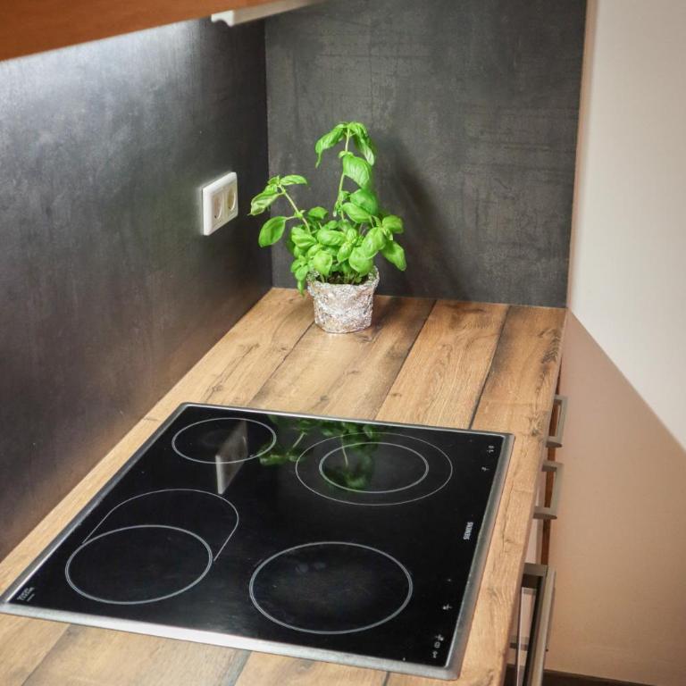 Living8-Appartements - Apartment Nr. 8 - 13
