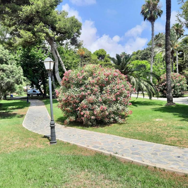 Sinforosa Park Apartments - Two-Bedroom Family Apartment - 29