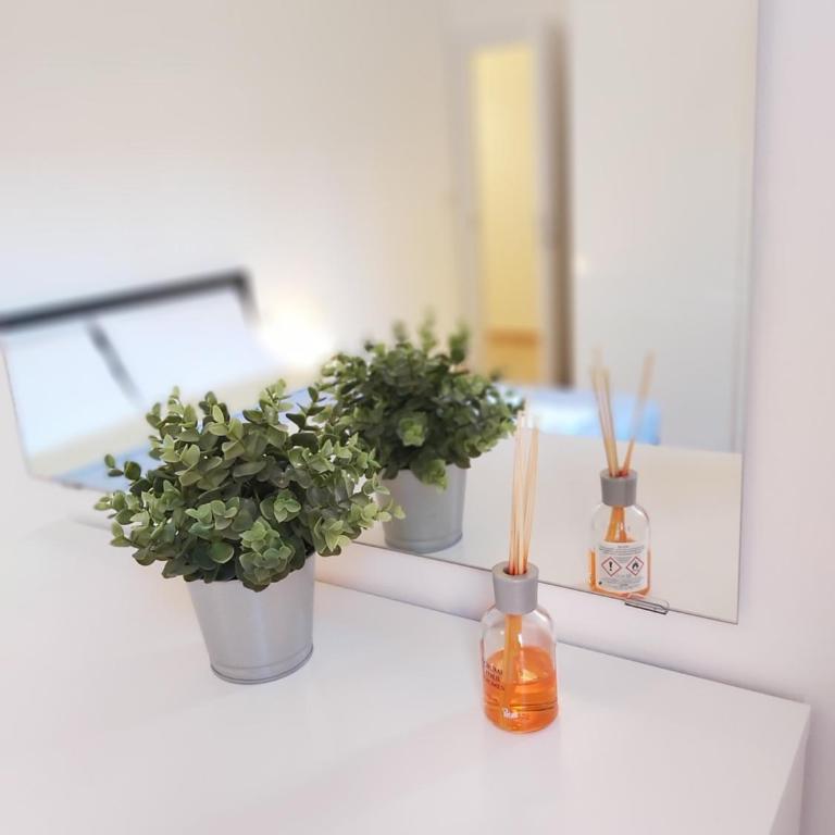 Bologna Apartment - Two-Bedroom Apartment - 20