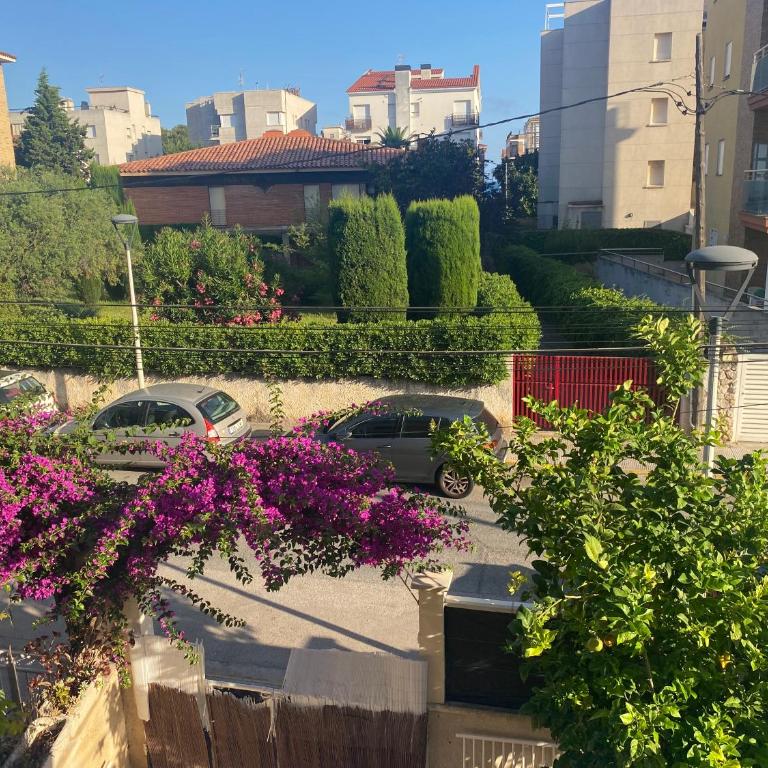 Tramuntana apart - Apartamento de 3 dormitorios - 26