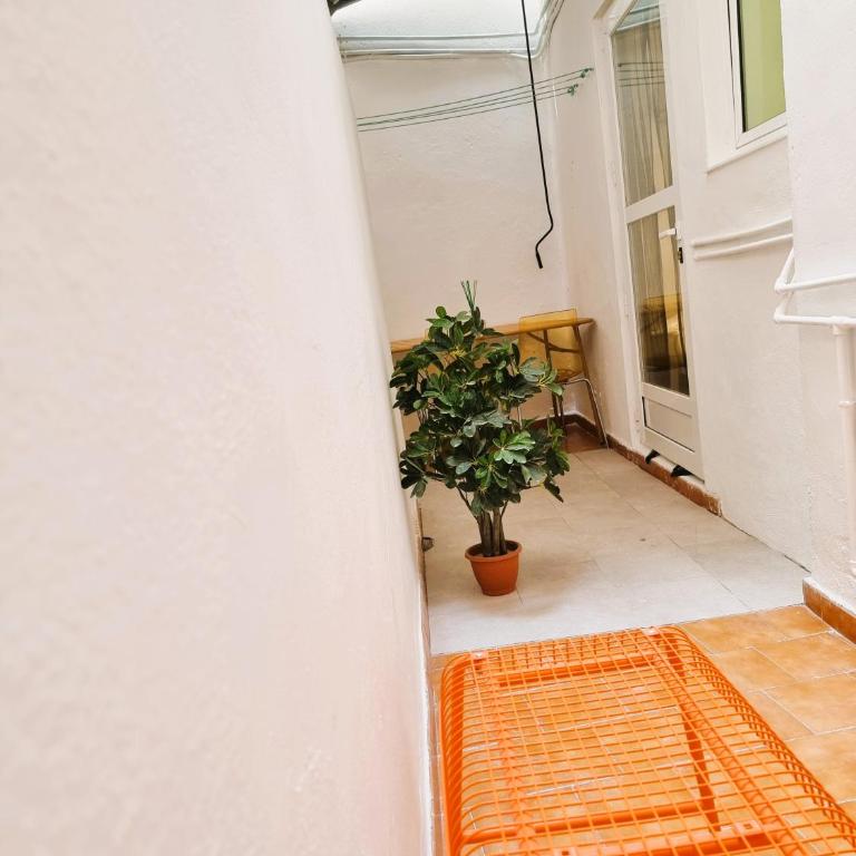 Claudia Tourist Apartment - Apartamento de 3 dormitorios - 19